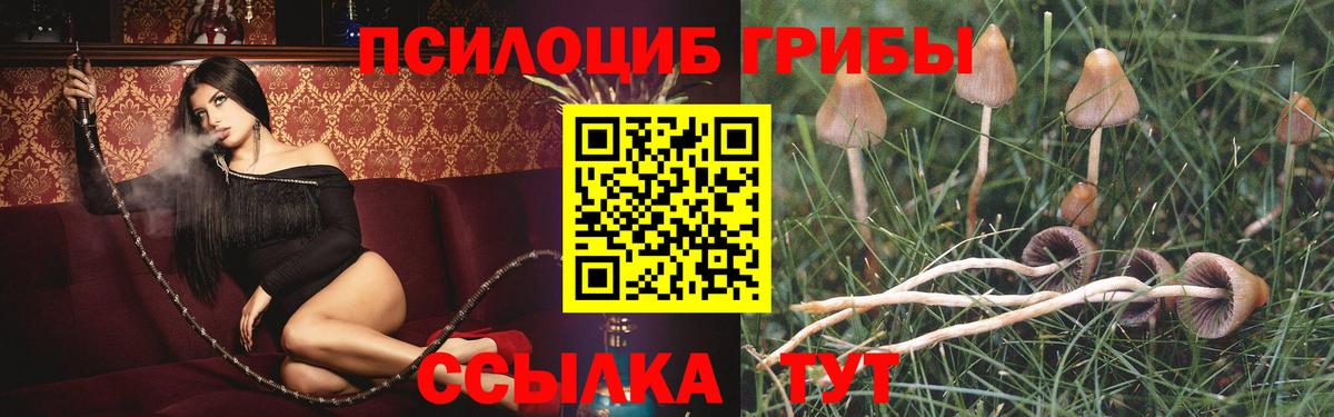 купить закладку  Галлюциногенные грибы прущие грибы  Королёв  Вход с VPN  Галлюциногенные грибы Psilocybe 